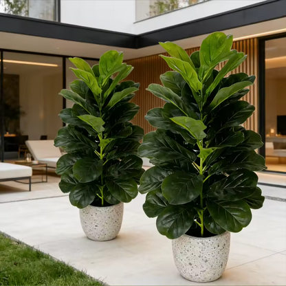 Artificial Fig Tree Plant | Realistic Indoor & Outdoor Accent Tree